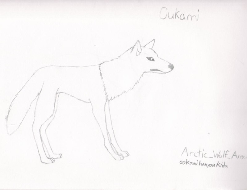 Oukami (wolf) by Arctic_Wolf_Angel