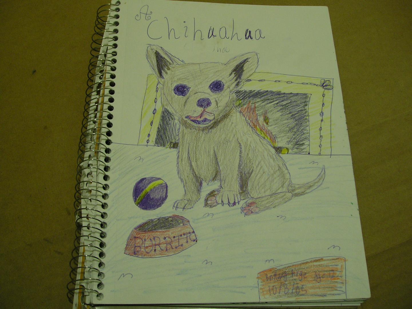 A cute wittew Chihuahua by Arpeggio