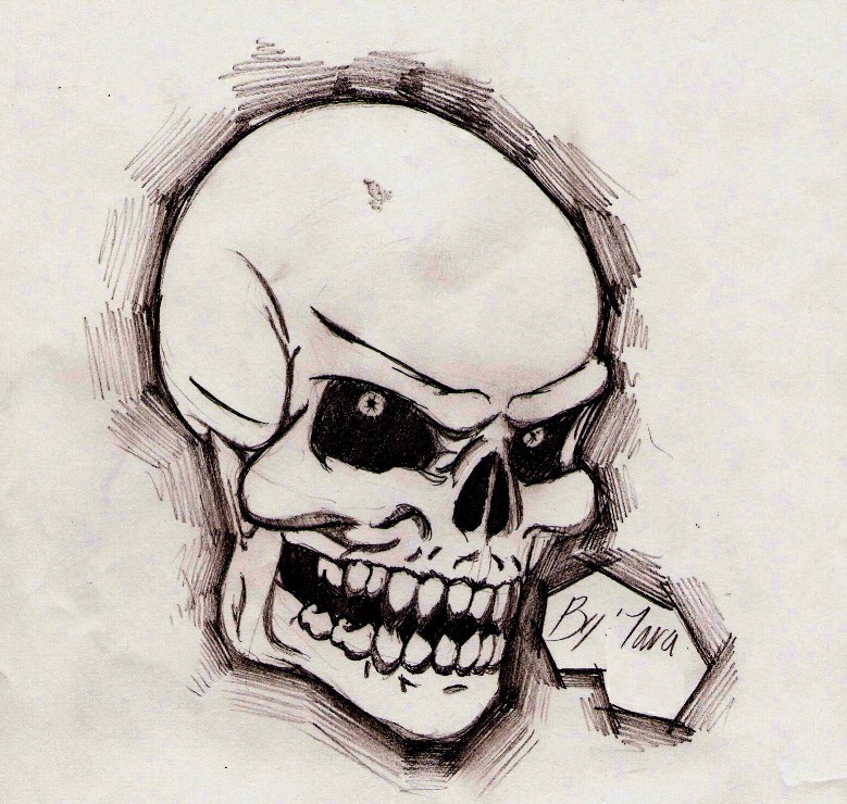 skull xd by Art-Queen