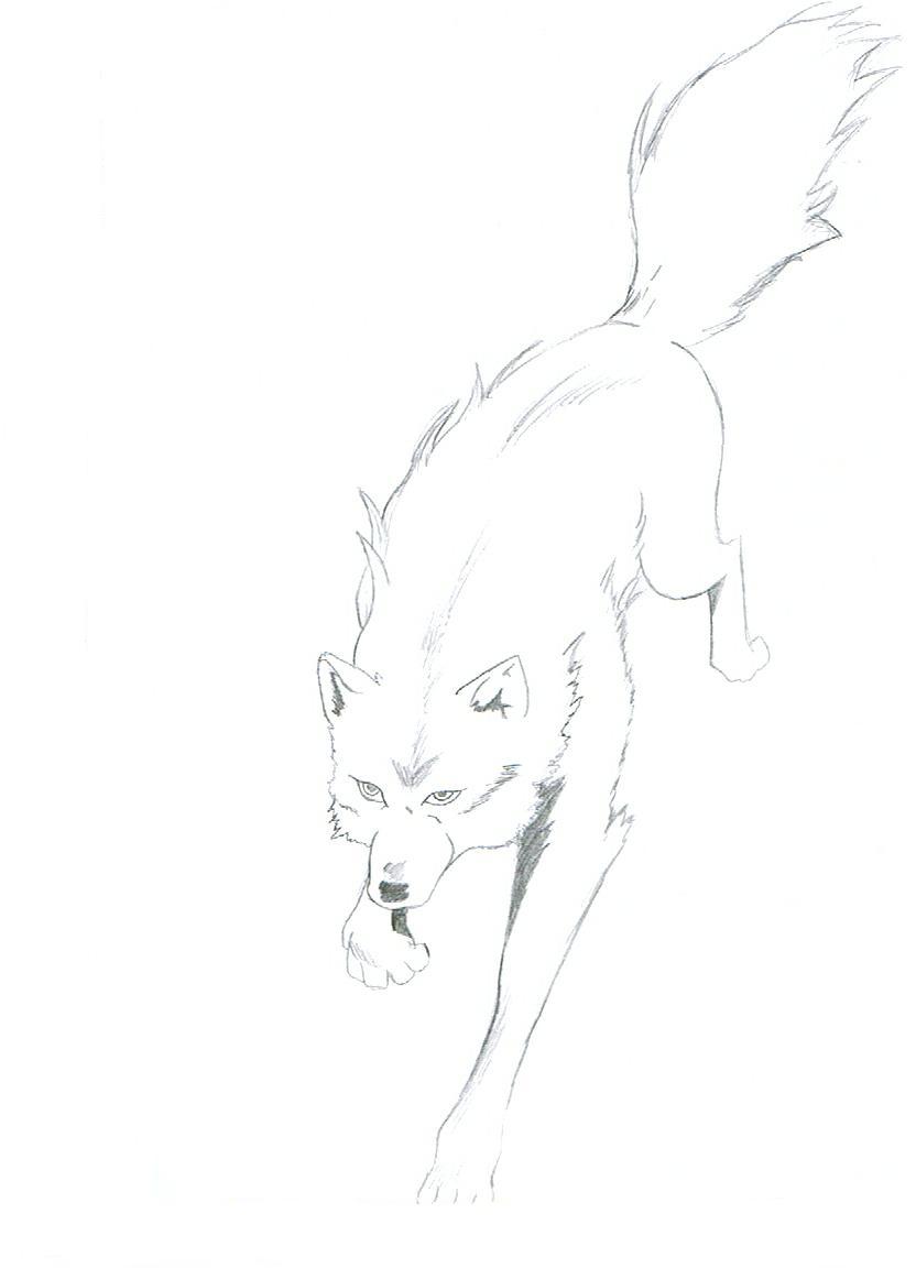 Kiba Wolf Running by ArticWhiteMare