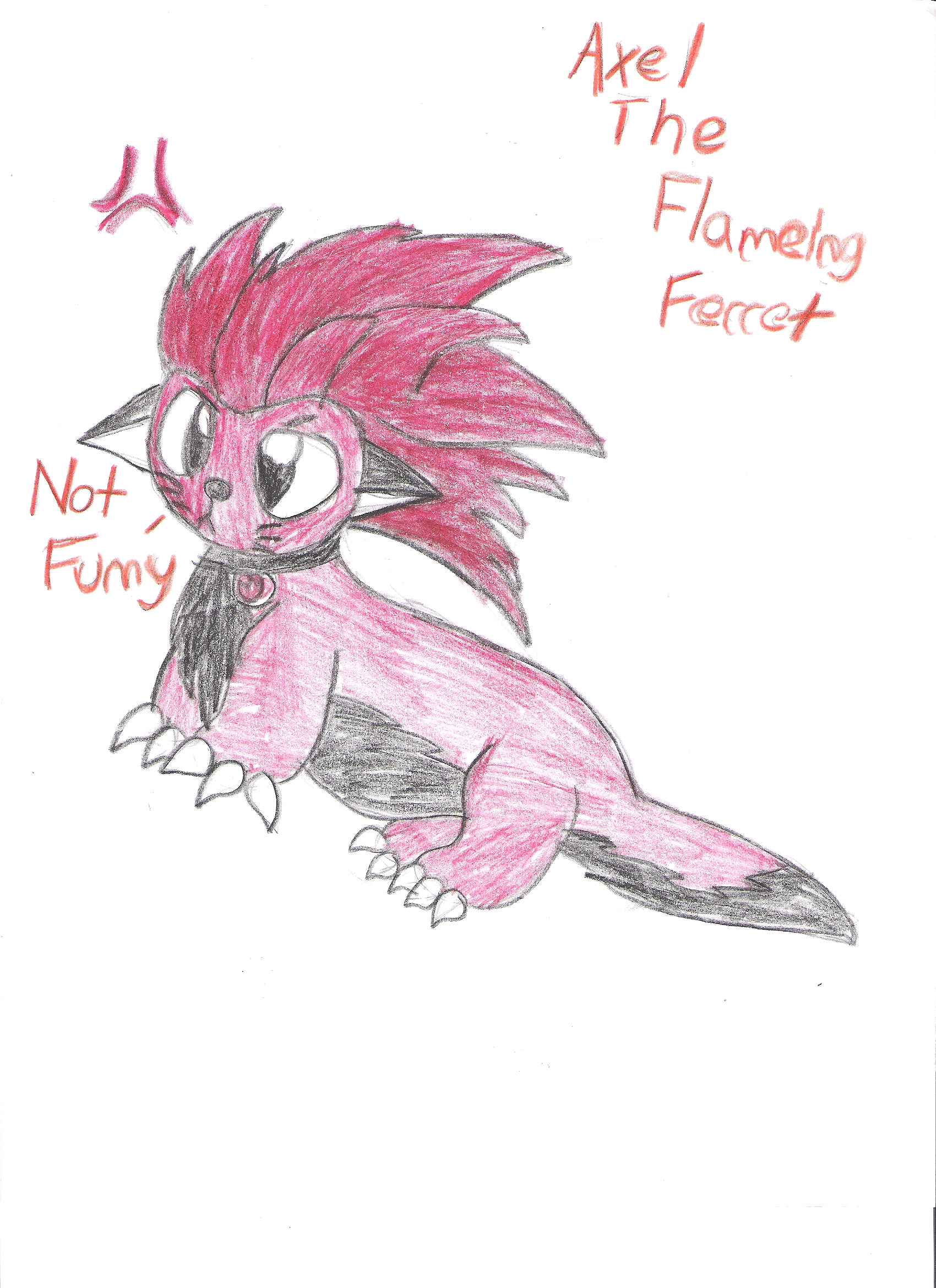 Behold: The Flameing Ferret by Arue