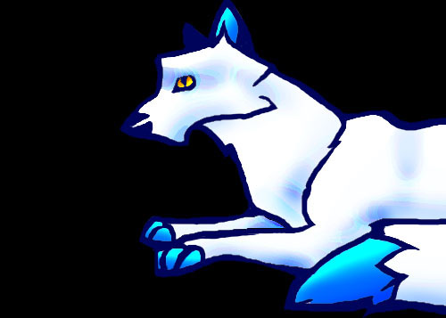 White/blue wolf by Aspen