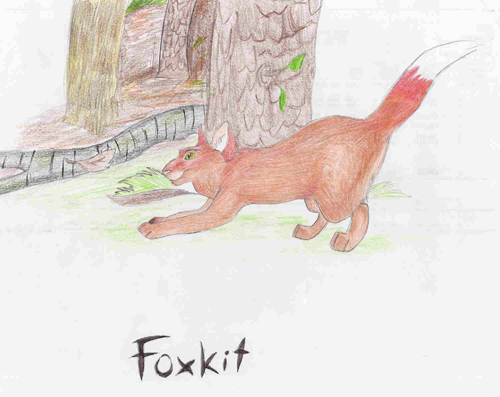 Foxkit for Silverfox! by Aspen