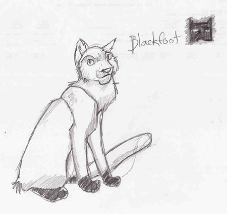 Blackfoot of ShadowClan! by Aspen