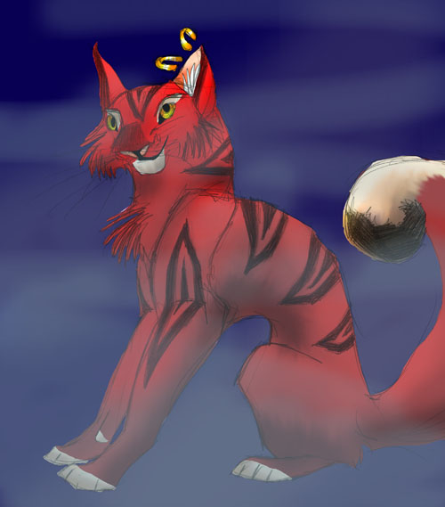 A red kitty by Aspen