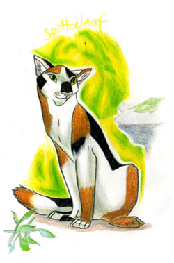 Spottedleaf for Fire-Feline by Aspen