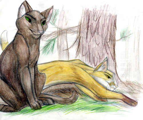 Sunnypaw and Dustpelt for Anime_rox_my_sox! by Aspen