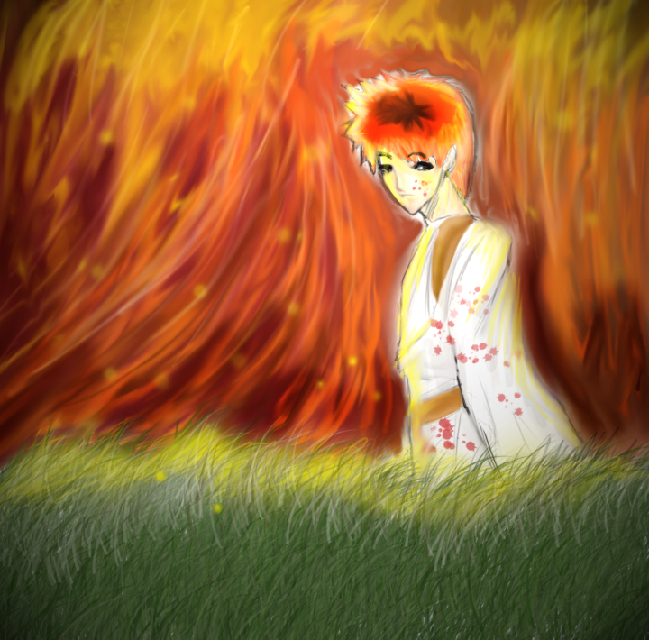 Feild of fire by Atashi