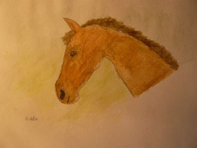 horse1 by adint