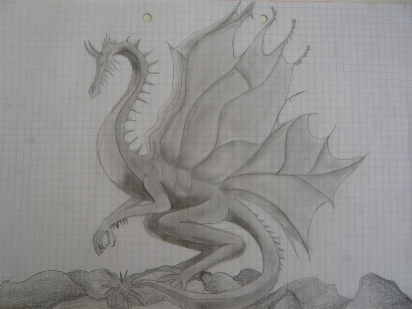 Dragon by adint