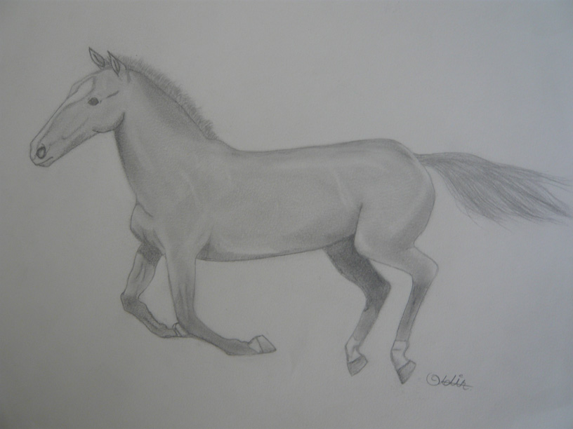 Horse6 by adint