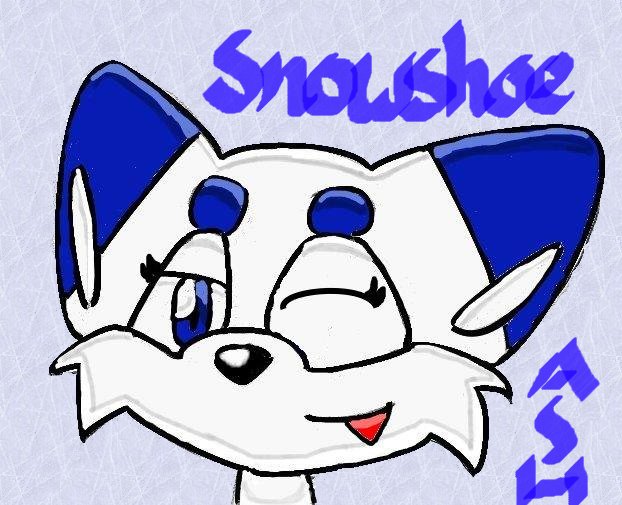 snowshoe please comment by ajmsonicfan
