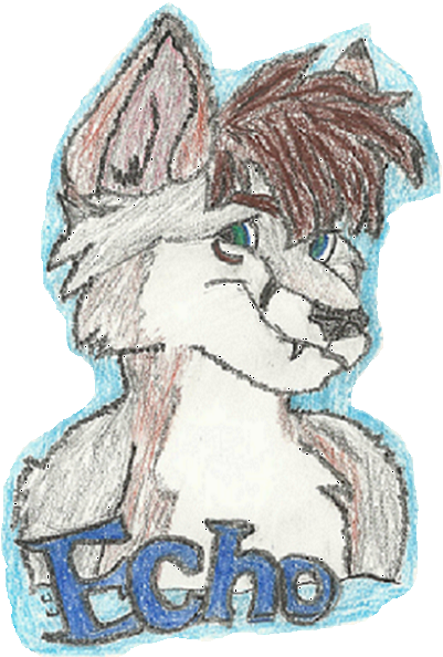 Echo Bust Badge by alchemest1