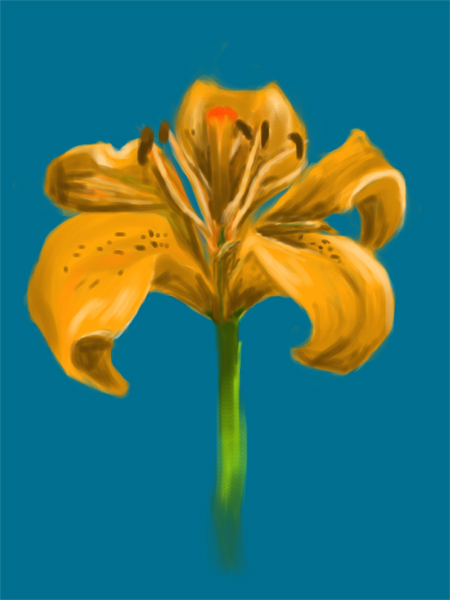 lily by alichino