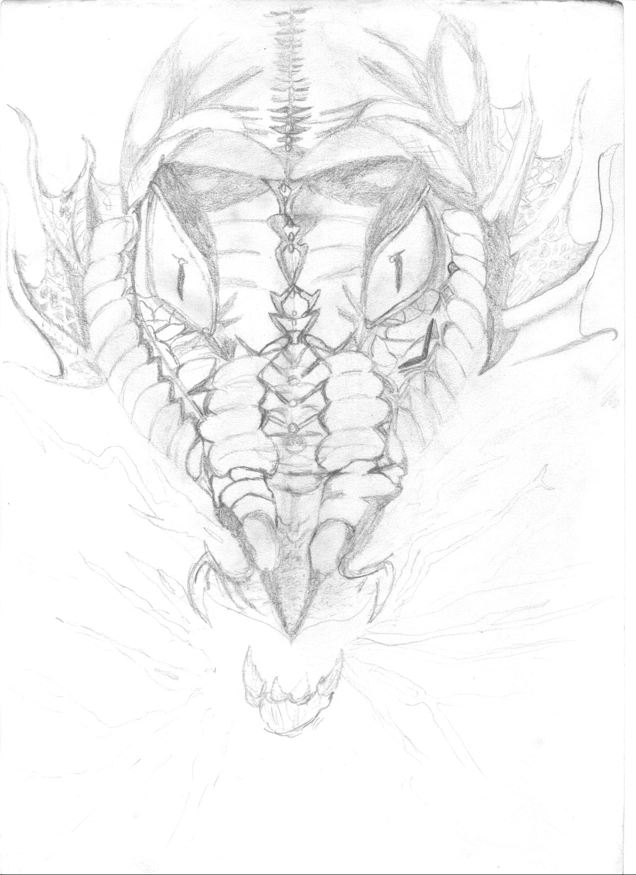 Dragon Head by almasy666