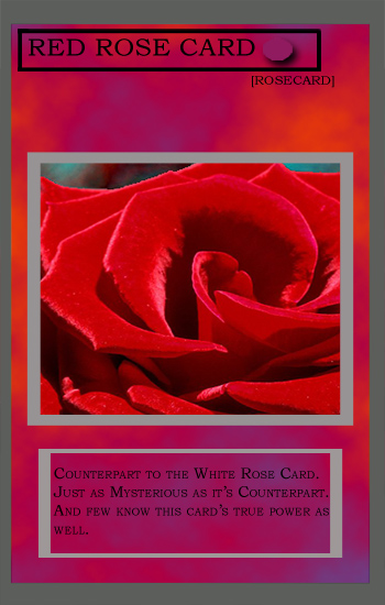 Red Rose Card by alucard541