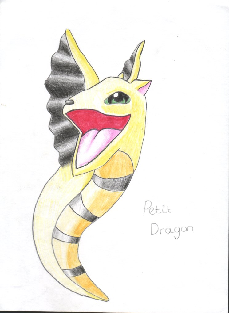 Petit Dragon by amycool