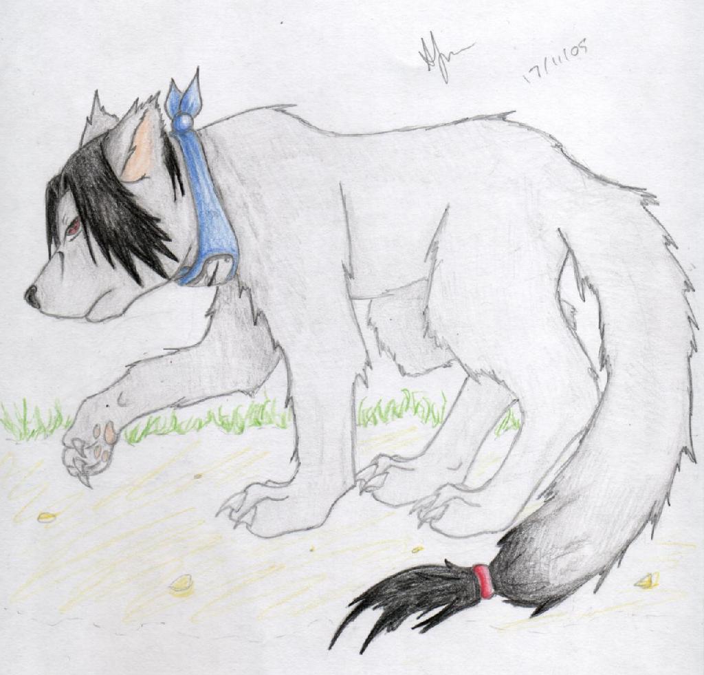 Itachi wolf by amycool