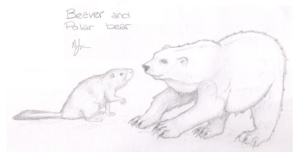 Beaver and Polar Bear by amycool