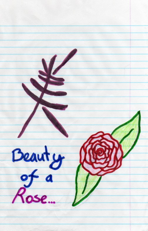Beauty of A Rose (original) by amyrose12
