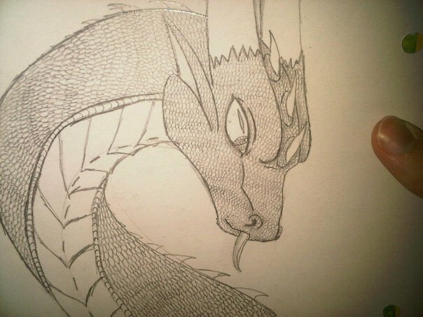 dragon sketch by anaithehedgehog1