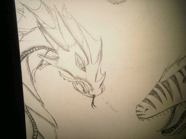 dragon head by anaithehedgehog1