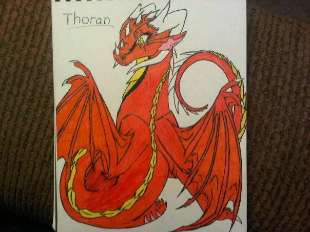 thoran the minor dragon by anaithehedgehog1