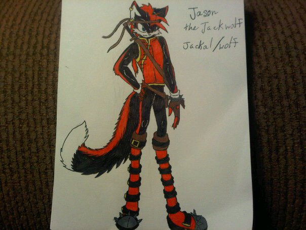 jason the jackal/wolf by anaithehedgehog1