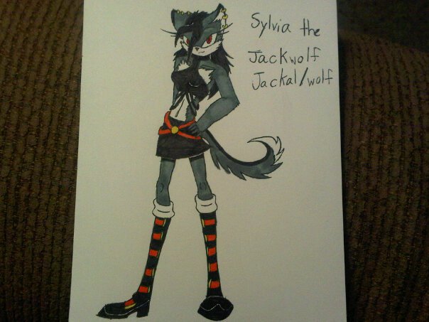sylvia the jackal/wolf by anaithehedgehog1