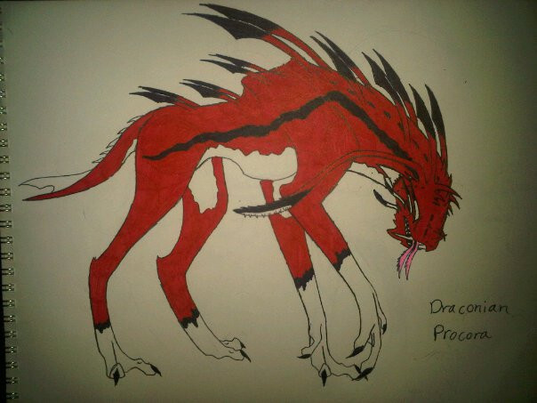 new draconian creature, the procora by anaithehedgehog1