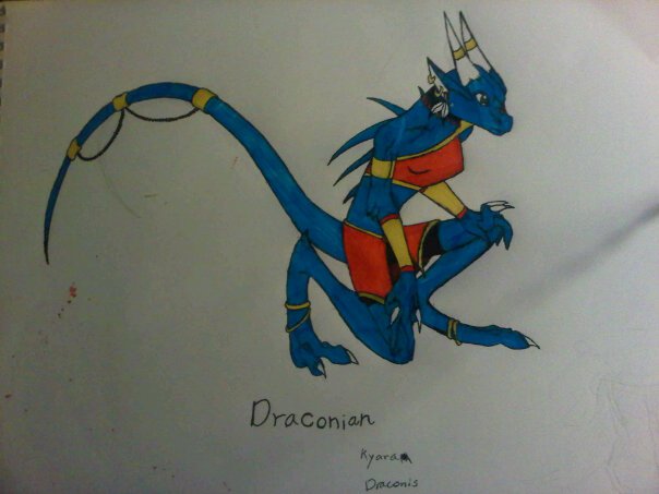 draconian redesign by anaithehedgehog1