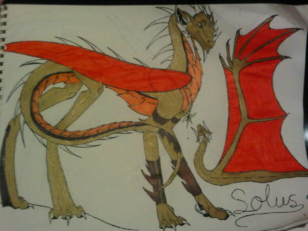 solus the fire dragon by anaithehedgehog1