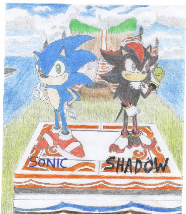 Sonic and Shadow (in a scenario) by andre_ant