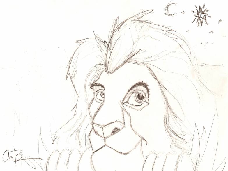 Mufasa and the Stars by andycb2000