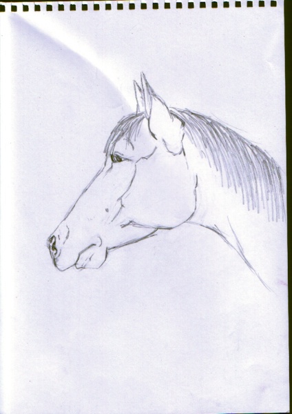 a horses head by animal_crackers200