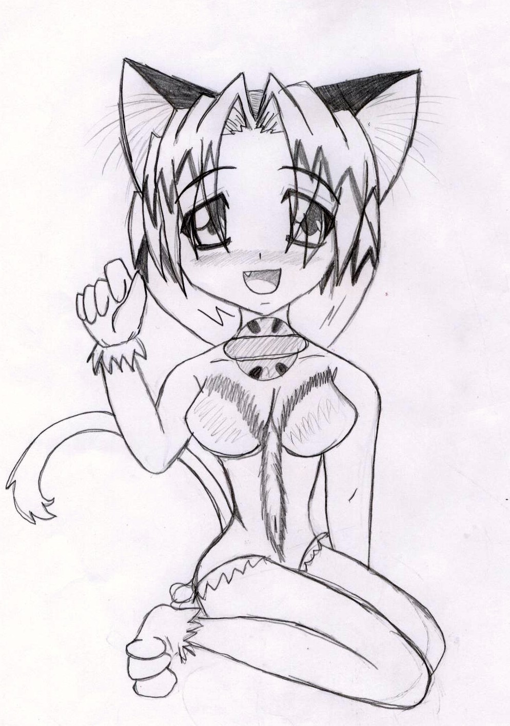 cool kitty by animeash