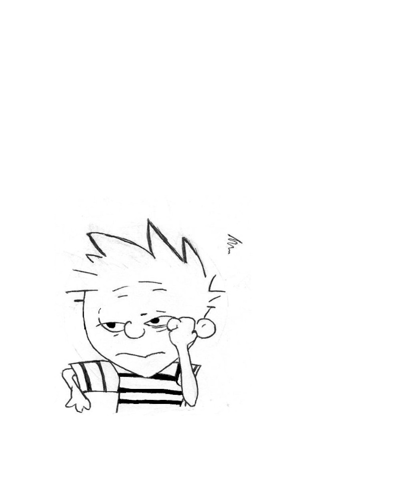 Calvin by animi