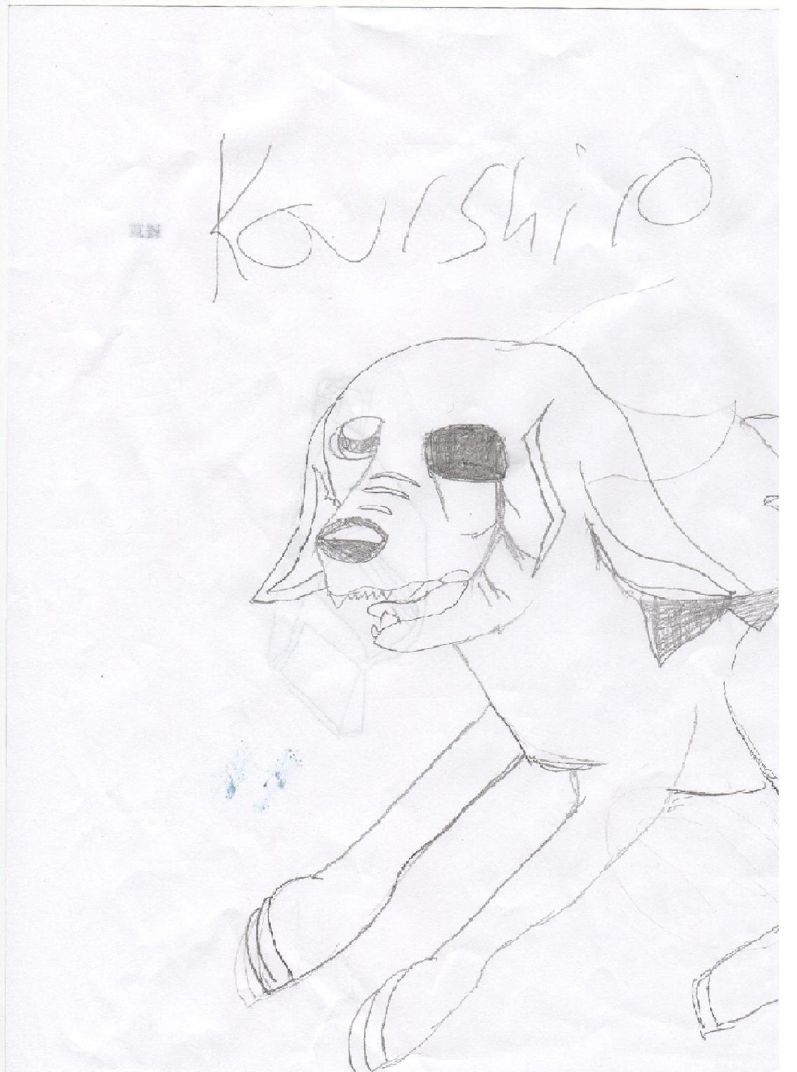 anime kourshiro by annthepup