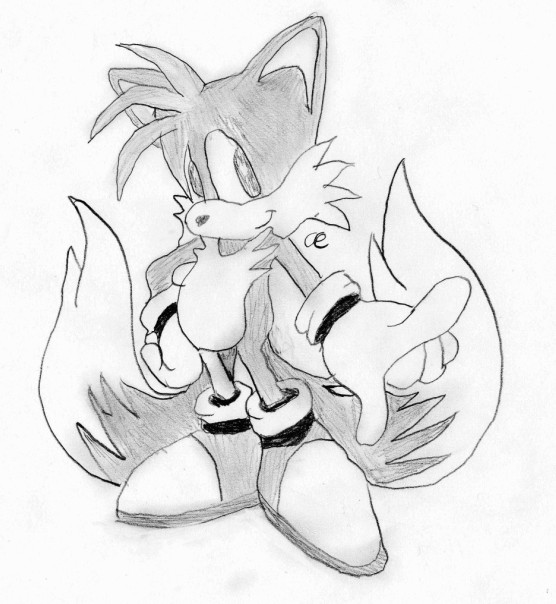 simply tails by aquaeevee