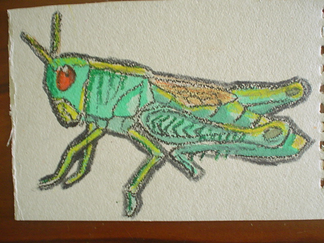 grasshopper by ardito1993