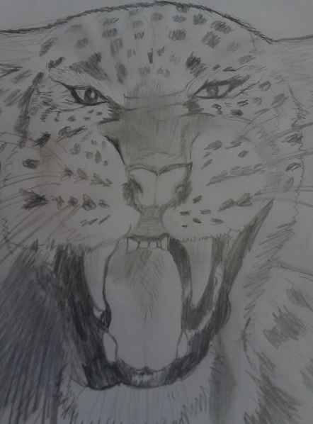 tiger rawr by artfreakjess1