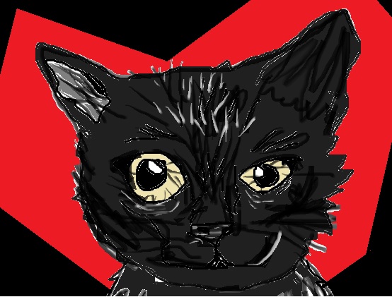 black cat by artfreakjess1