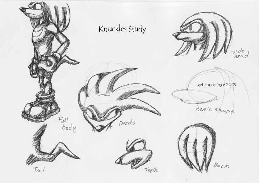 Knuckles Study by articunotamer