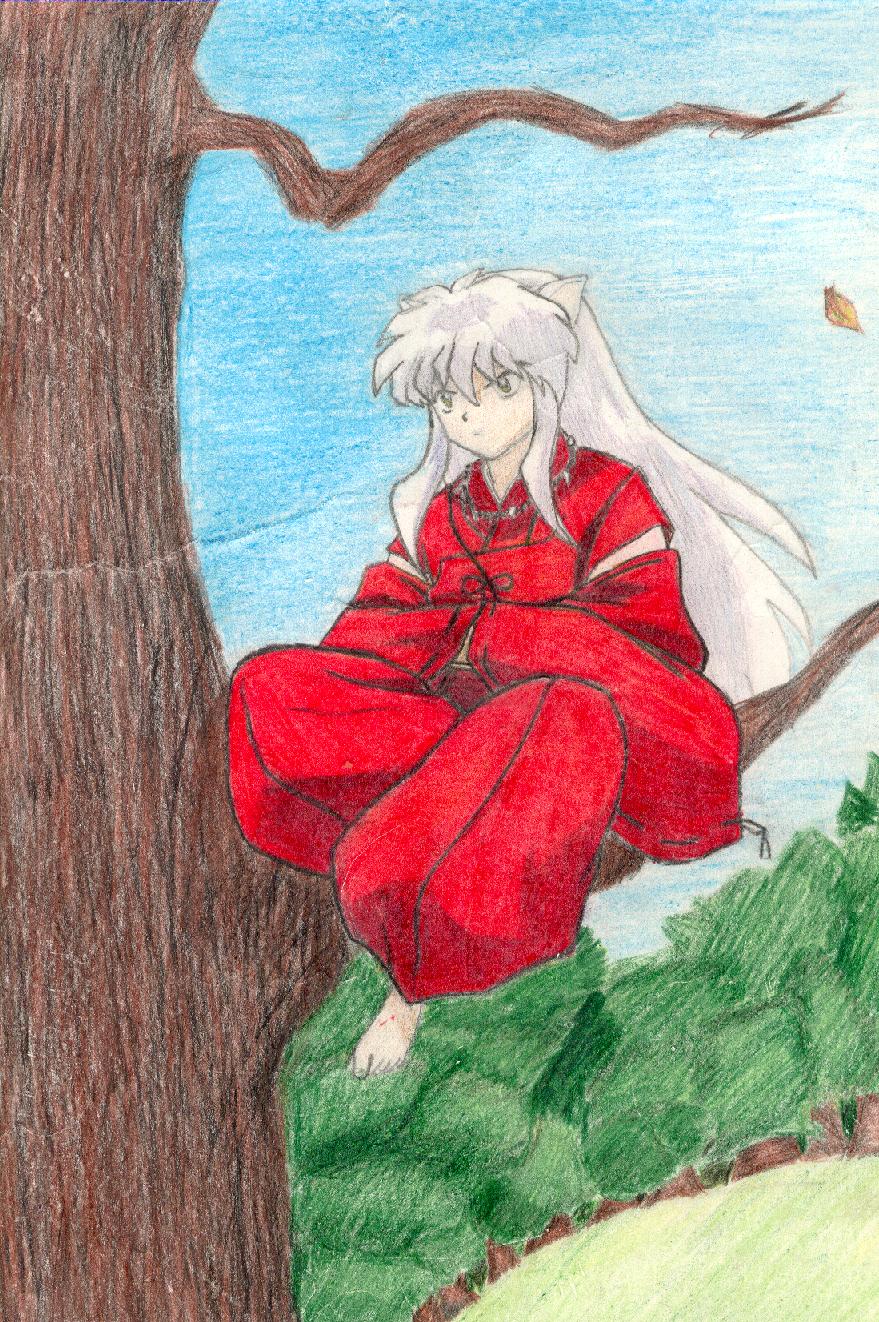 Classic Inuyasha Pose In The Tree By Artistofthefuture Fanart Central