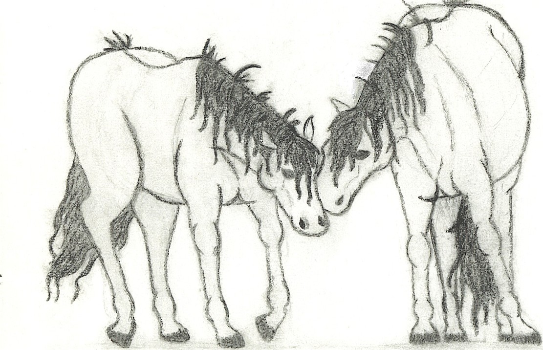 Equine Love by ash_ash_paige