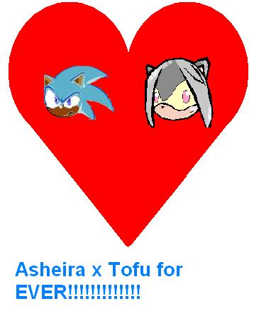 ...asheira x tofu (for cappy1709) by asheira_the_hedgehog