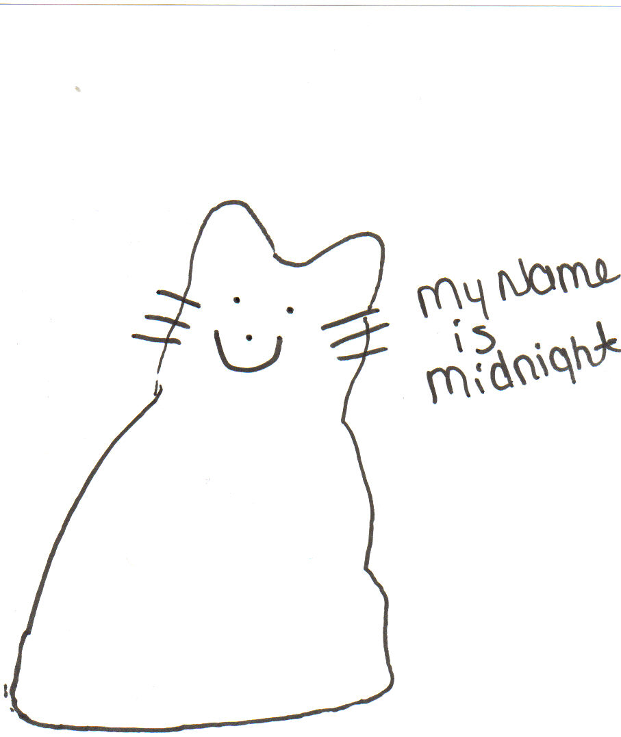 midnight by attackcat1996
