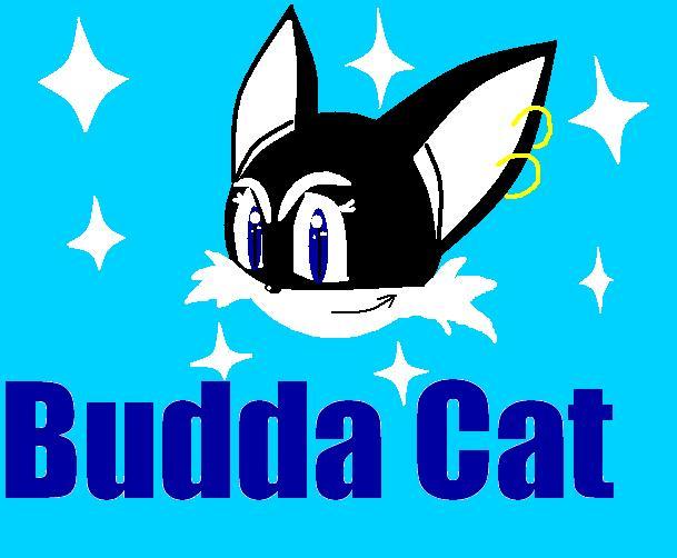 A gift for Buddah Cat! by BALLISTIC_BLUE_BLUR13