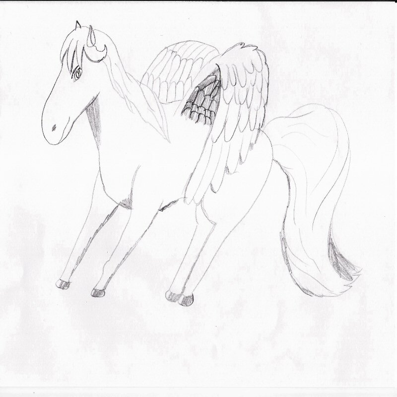 Pegasus by Babs