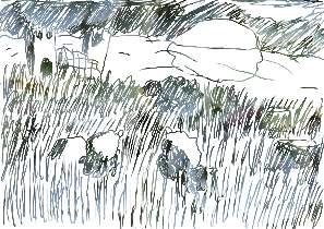 landscape sketch by Babs